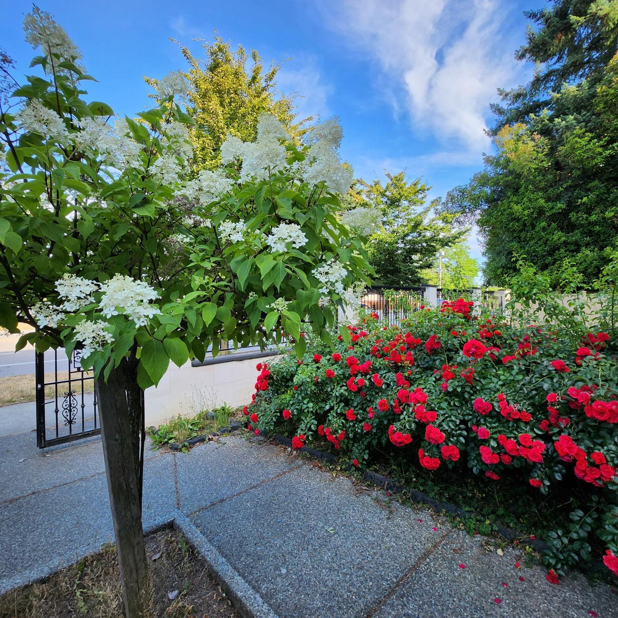 Inn The Empress Palace Surrey